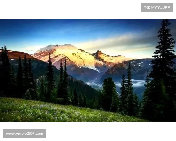 深入探秘英格兰足总的历史渊源与幕后运作机制全解析